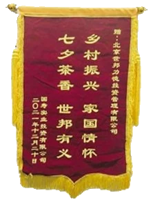 乡村振兴家国情怀锦旗